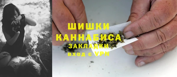 spice Алзамай