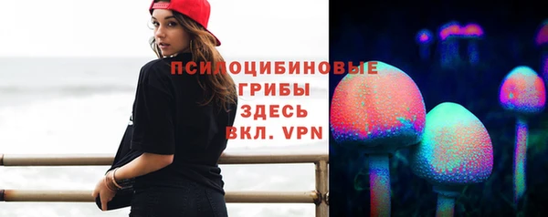 сатива Алексеевка