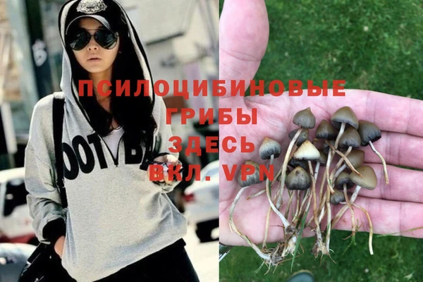 сатива Алексеевка
