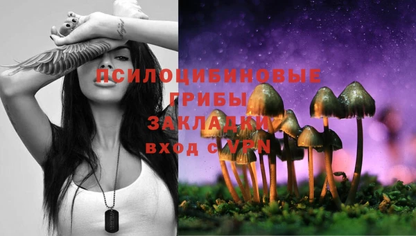 сатива Алексеевка