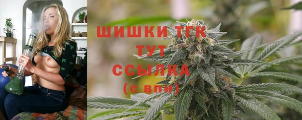 spice Алзамай