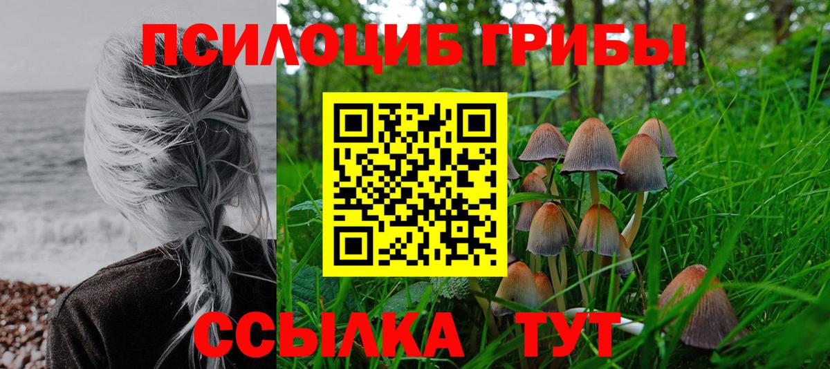 Псилоцибиновые грибы Magic Shrooms  Вход с VPN  Сосновоборск 